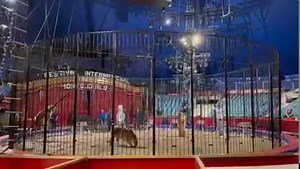American Circus on Reels
