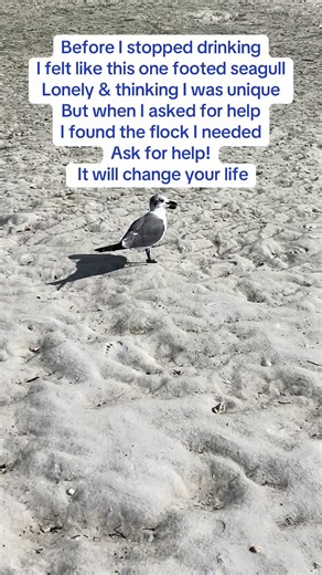 Before I stopped drinking, I was lonely and miserable. I felt terminally unique like this one footed seagull. I hit my rock bottom and asked for help. It changed my life and can change your life too. #dryjanuary #seagulls #recoverytok #addictionawareness #sobriety