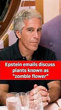 Epstein Files - Zombie Flower #epsteinfiles #ZombieFlower #Scopolamine #breakingnews