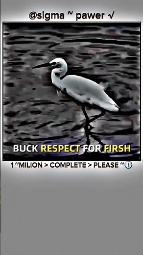 SIGMA RULE 💀 ~ BUCK RESPECT FOR FIRSH ~ #SIGMA #MOTIVATION #SHORT