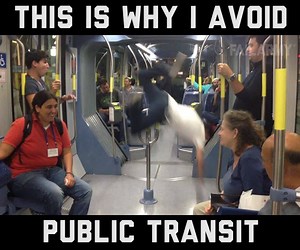 4.2M views · 3.4K shares | Cheap driverless cars are coming soon, right!? | FailArmy | Facebook