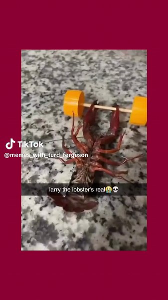 #viral #trending #meme #memestiktok #memes #hahaha #funny #funnyvideos #fyp #spongebob