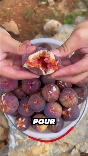 The Fig Tree That Bears Fruit In 1 Year 😱🌿
