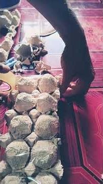 PART 1 Tutorial packing telur ayam mudah dan cepat 😱 #youtuber #youtube #videoshort #fypシ゚viral