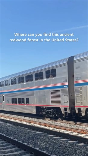 3.4K views · 108 reactions | Hint: it’s part of our ‘Northern Rail Experience’ itinerary. https://www.amtrakvacations.com/trips/northern-rail-experience | Amtrak Vacations | Facebook