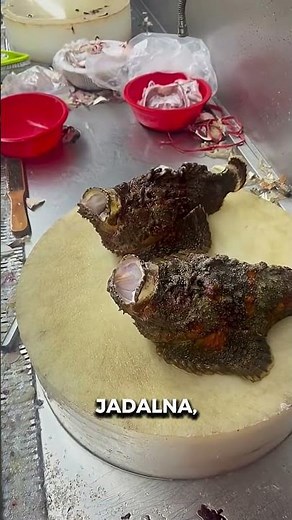 Ta ryba potrafi CHODZIĆ po lądzie?! 🤯🐟