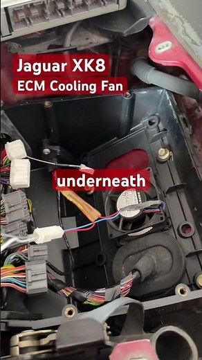 Jaguar XK8 Cooling Fan Test! Is This Causing Your Ignition Misfires? ECU ECM faults XKR X100 Modurol