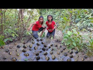 Survival in the rainforest - Catch and cook snails for food in jungle Eat delicious at night