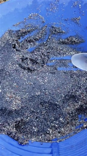 Dredging for Gold: Tips and Techniques for Success