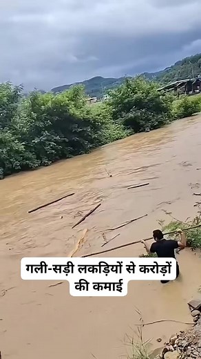 33K views · 152 reactions | गली-सड़ी लकड़ियों से करोड़ों की कमा | Damini Facts | Facebook