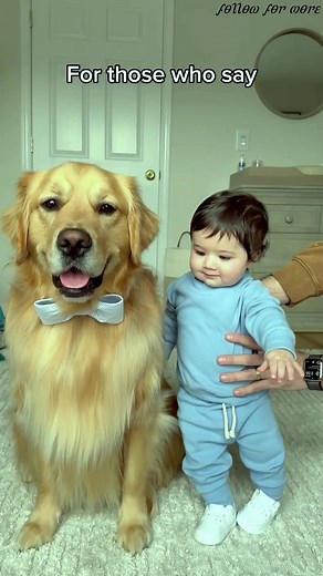 I think this case is closed… what do you think？ #30 | Patrick