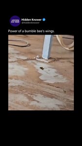 Follow @hiddenknower for mind-expanding insights and the hidden truths of the universe. Video by respective owner (DM for credit/removal). No copyright infringement intended. Shop our collection at: https://hiddenknower.com/sale | Hidden Knexus