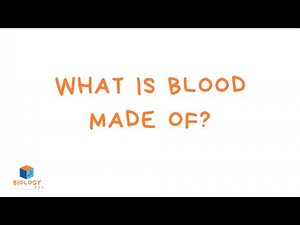 What is blood made of? (KS3 Cell Biology)