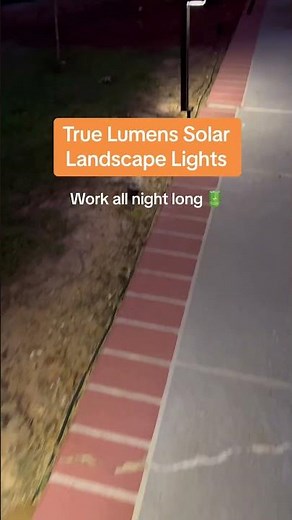 These Solar Landscape Lights Stay Lit All Night Long