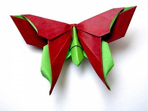 A beginner’s guide to origami