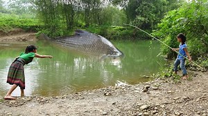 58K views · 3.4K reactions | Amazing Fishing Video - Primitive Fishing Catch A Lot Of Fish At River - Unique Fishing © Copyright by Primitive Cooking KT | Primitive Cooking KT | Facebook