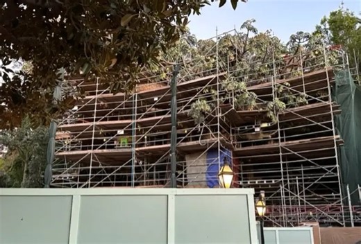 Construction Update for Former Tarzan's Treehouse in Disneyland | Chip and Company