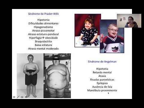 4-2 Imprinting genômico - Profa. Dra. Maria Vibranovski (BIO0119 - Aula 4)