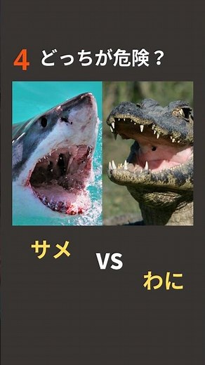【どっちが危険？】サメ VS ワニ 二択クイズ｜5秒で解ける？