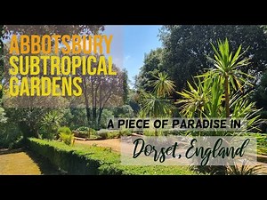 Abbotsbury Subtropical Gardens are the Dorset's hidden gem