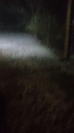 《C Ə L İ L A B A D》 (@15_azimoff_945)’s videos with orijinal ses - Aşıq Bakir Gədəbəyli 021