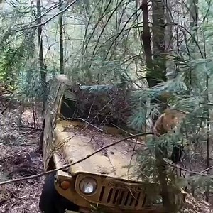 167K views · 1.2K reactions | Recovering a Suzuki That's Been Stuck for 40 Years! | Matt's Offroad Recovery | Facebook