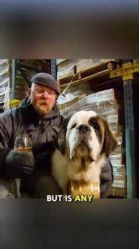 Can alcohol really save you from hypothermia? #science #mythbusters #physics #shorts