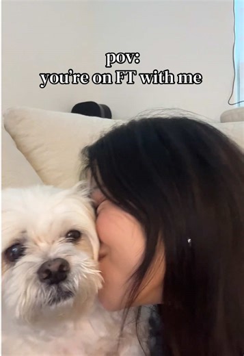 Buttercup always has to be included #shihtzu #seniordogsoftiktok | Shih Tzu Dogs