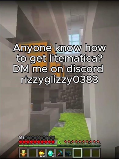 DM For Litematica Help #minecraft #mods #donutsmp