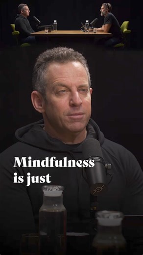 6K views · 79 reactions | "Mindfulness is just closely paying attention to your experience." An excerpt from this week's exchange with Sam Harris, a renowned neuroscientist, philosopher, and bestselling author. We discuss the crisis of misinformation, the erosion of critical thinking in society, and how it threatens our ability to solve complex problems. This is a thought-provoking and timely conversation that you won't want to miss. Episode 828. ✌ - Rich | Rich Roll | Facebook