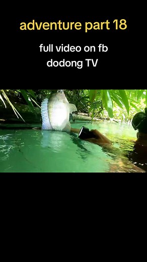 catch and cook adventure part 18 #foryou #fypシ #catchandcook