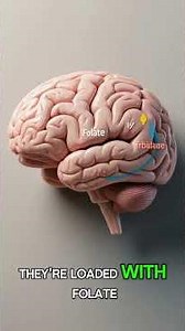 Top 10 Foods That Improve Mood and Fight #healthscience #facts #healthtips #BrainHealth#SelfCare