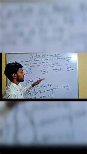 Bsc Nursing ANM GNM |Anatomy and physiology|Cavity Of Human Body|By DP sir @vijay education and news
