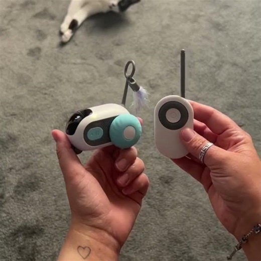 Automatic Cat Toy with Infrared Sensor & 20m Remote Control for Endless Cat Fun