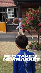 27K views · 1.5K reactions | Big dreams!  Meet Reo, 10yo budding jockey from Japan  | World Horse Racing | Facebook