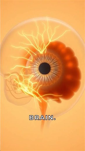 Why Do We See Stars When We Hit Our Head?