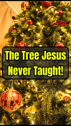 The Tree Jesus Never Taught! #christmas #pagan #faith