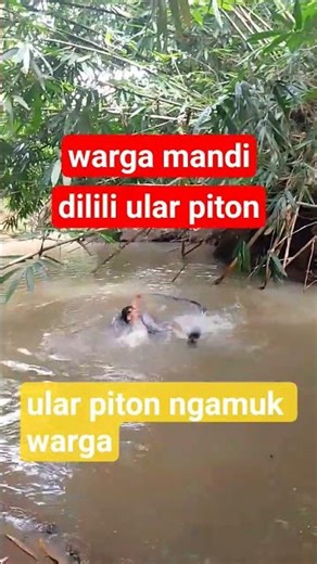 the snake python wrapped around the residents