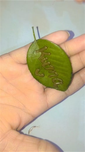 Amazing Names Writing 🤯 😱 #comment #drawing #craft #diy #ytshorts #ytviral #viralvideo #yt