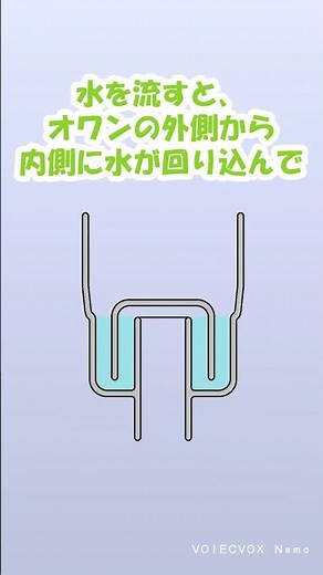 【知っておきたい排水トラップの雑学】「ワントラップ編」#shorts #排水口かんたん交換ショップ #VOICEVOX NEMO #排水トラップ #雑学