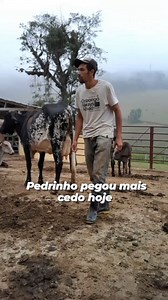 Zé Maria on Reels