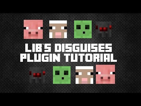 | LibsDisguises | Plugin Tutorial |