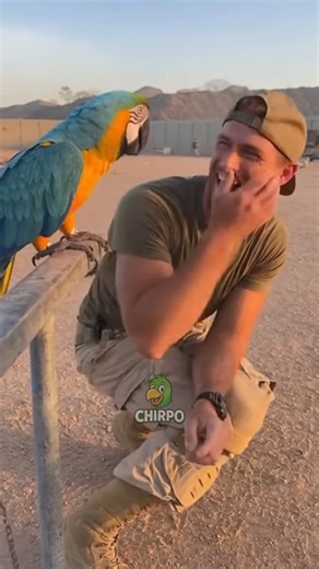 Strong march forward, louder chirp behind 🐦😂 #talkingparrot #funnyparrot | Heaven on Earth