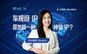 What is...｜车规级IP是怎样一种神仙IP?