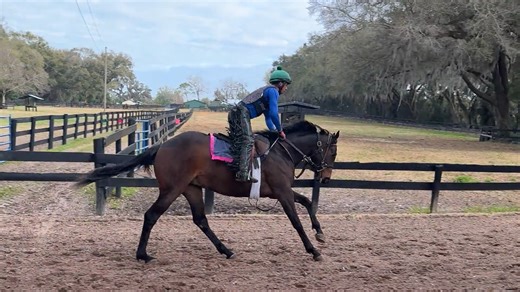 Meadow Freedom Galloping - Abbie Road Farm, 2.18.26