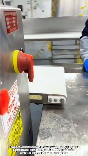 Best Innovation Fillet Machine: How to Process Salmon with High Precision