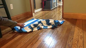 Watch absorbency demonstration on Amazon Live