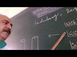 Lederberg replica plating experiment