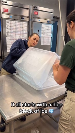 Have you seen anything COOLER than a sea lion ice cake? 🎂❄ Check out a behind-the-scenes view of our sea lion team preparing Kamia’s birthday cake. | Houston Zoo
