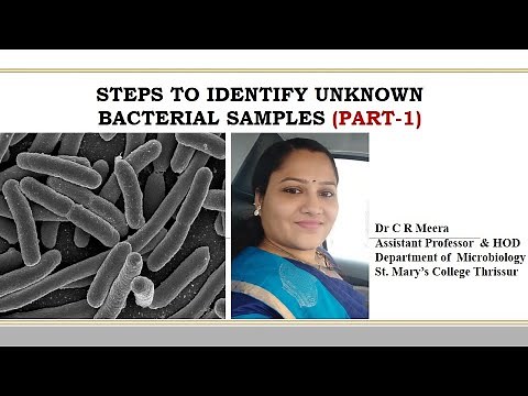 STEPS IN THE IDENTIFICATION OF UNKNOWN BACTERIAL SAMPLE